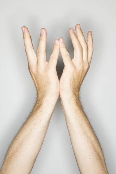 two caucasian hands in a gesture: holding something up - Photo, Image