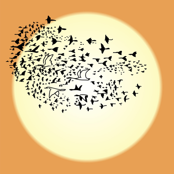 flock of birds different sizes that fly south background of sun - Vector, Image