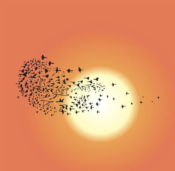 flock of birds different sizes that fly south background of sun  - Vector, Image