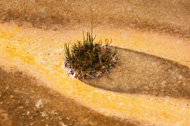 національний парк жовтокам'яний, Утох, США
 - Фото, зображення