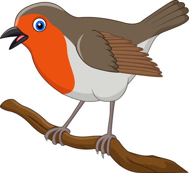 Dibujos animados hermoso pájaro robin
 - Vector, imagen