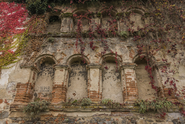 Дом возле реки Влтавы и Дивцы Камень руины замка осенью
 - Фото, изображение