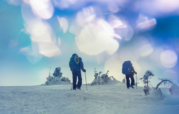 Turyści w górach zimowych - Zdjęcie, obraz