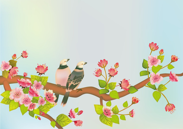 Sakura bird. postcard . - Vector, Image