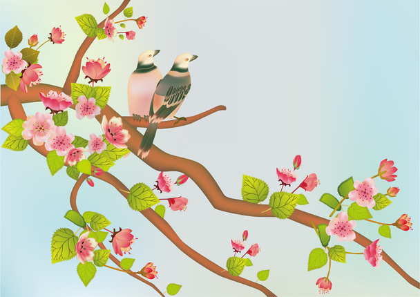 Sakura bird. postcard - Vector, Image