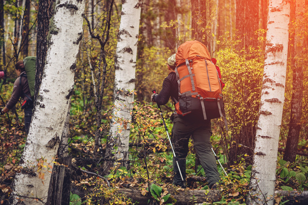 homem com uma mochila subindo na floresta de montanha
 - Foto, Imagem