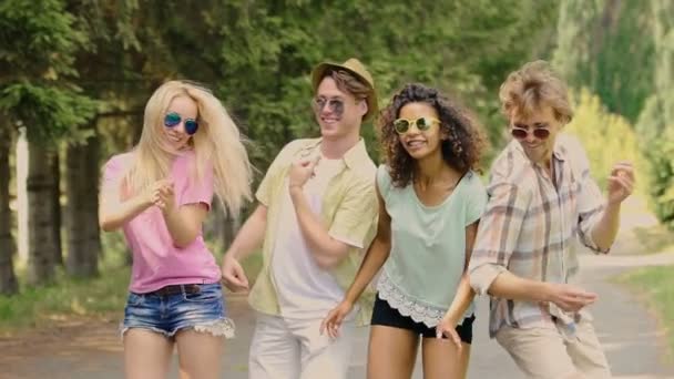 Vier multiraciale vrienden genieten van openlucht muziekfestival, dansen en springen - Video