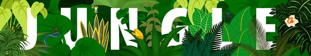 Tropical foliage. Floral design background.vector  rainforest banner - Vector, Image