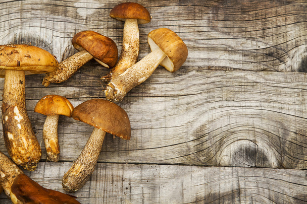 Edible forest boletus mushrooms on wooden background - Photo, Image