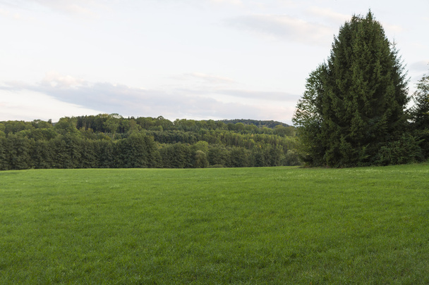 Краєвид зі степом у Південній Німеччині - Фото, зображення