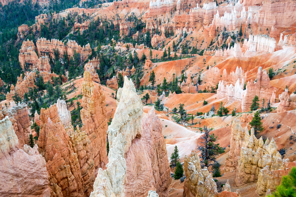 A Bryce Canyon Hoodoos - Fotó, kép
