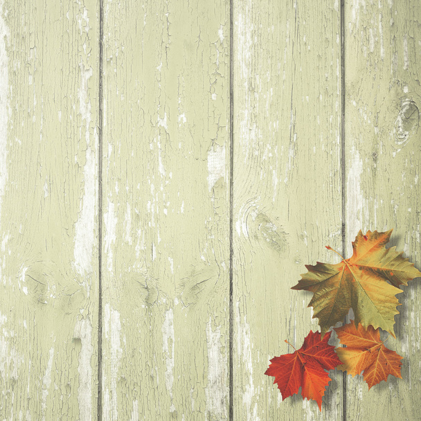 Eenvoudige herfst achtergrond - Foto, afbeelding