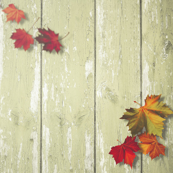 Simple autumnal background - Photo, Image