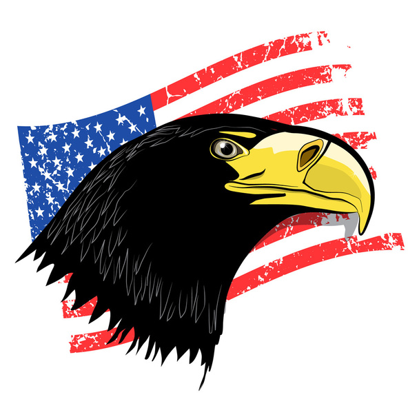 Eagle Head with Grunge American Flag - Vector USA Symbol - ベクター画像