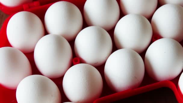 frische rohe Eier in einem roten Tablett - Filmmaterial, Video