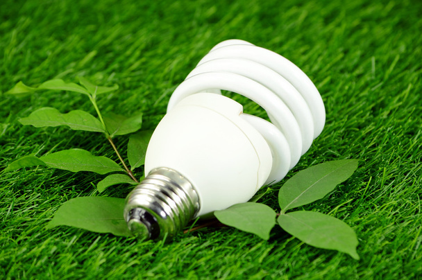 Lâmpada de poupança de energia e conceito ambiental verde
. - Fotografia, imagem