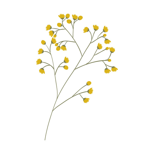 silhouette of flowers design - ベクター画像