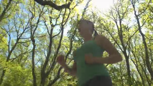 jonge vrouw joggen in voorjaar park  - Video