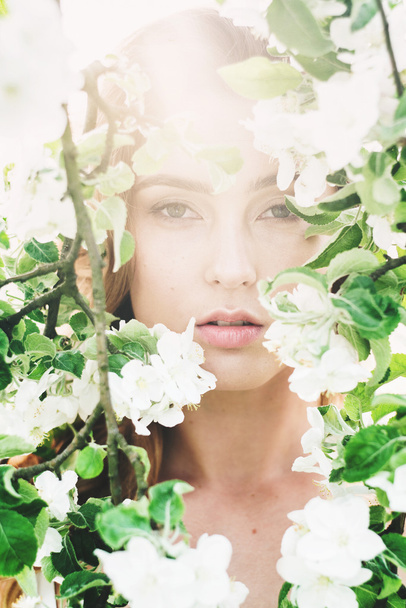 Portrait of beautiful romantic lady in apple trees blossoms - Photo, Image