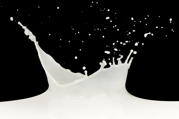 milk splash - Photo, Image