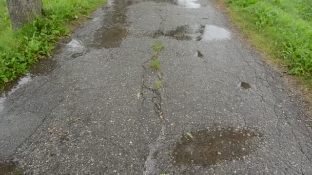 Countryside road and summer rain - Footage, Video