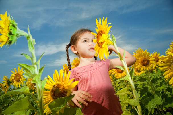 asiatische Mädchen geht in einem Feld von Sonnenblumen  - Foto, Bild