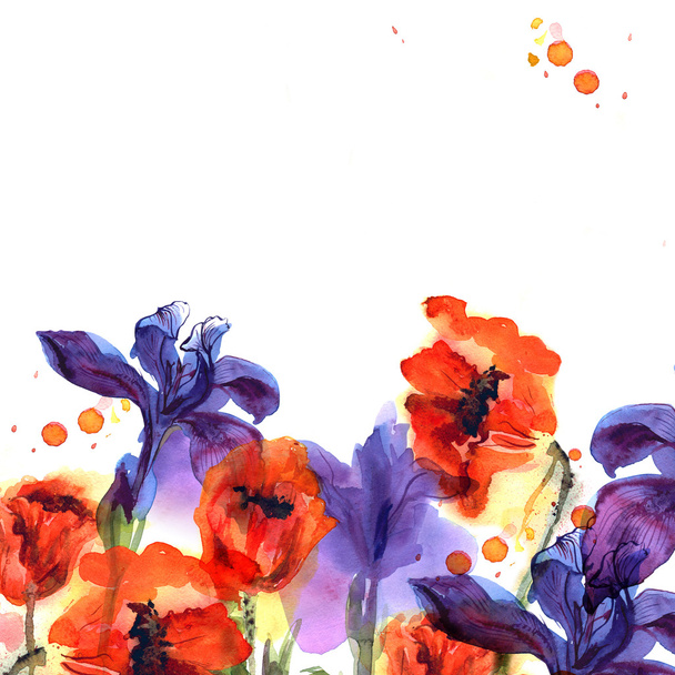 Cute watercolor flower background with poppies and irises in bright colors. - Photo, Image