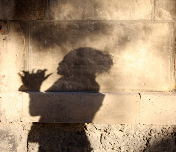 sombra de trompeta
 - Foto, Imagen