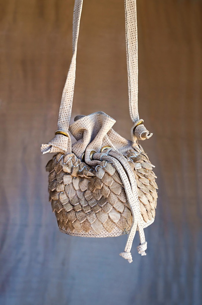 μικρή τσάντα γυναικεία vintage κουρέλι κρέμονται θέση - Φωτογραφία, εικόνα