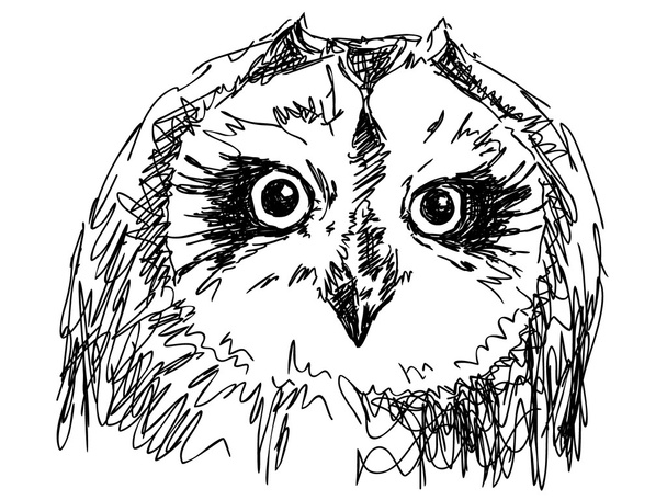 Обыкновенная сова
 - Вектор,изображение