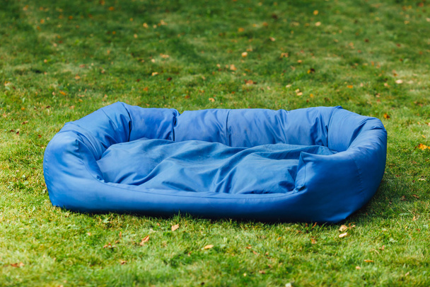 blue dog bed, green grass background - Foto, Imagen