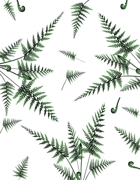 Beautiful background with fern - Vector, Image