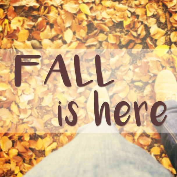 Inspirational typographic quote about fall - Foto, Bild