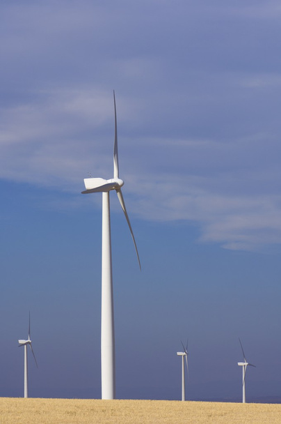 větrné mlýny - Fotografie, Obrázek
