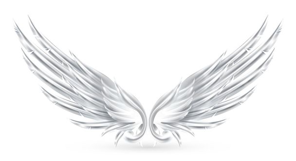 Wings White, eps10 - Вектор, зображення