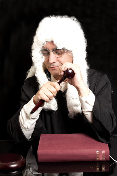 Portrait Of Male Lawyer with Judge Gavel And Book - Foto, immagini