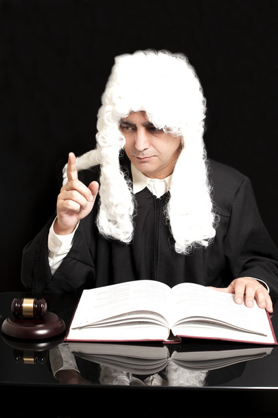 Portrait Of Male Lawyer With Judge Gavel And Book on black backg - Photo, image