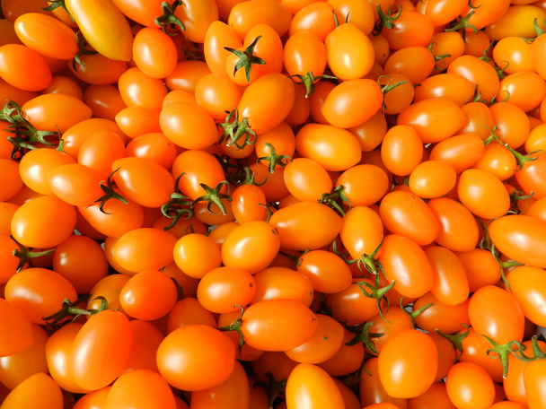 Tomates amarillos
 - Foto, imagen