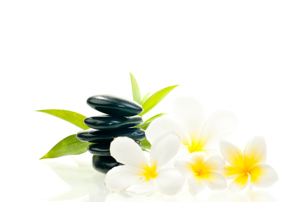Černá zen kámen s bílými květy - Fotografie, Obrázek
