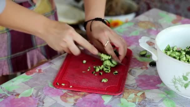 Oekraïense meisje huisvrouw is snijden komkommers op salade in schort - Video
