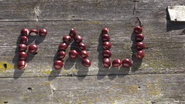Word FALL made of chestnuts on old wooden background - Footage, Video