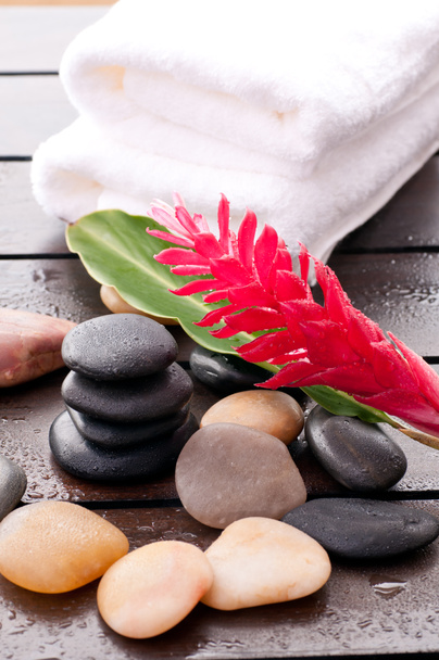 Zen bienestar con flor de jengibre rojo
 - Foto, imagen