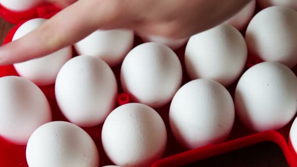 fresh raw eggs in a red tray - Footage, Video