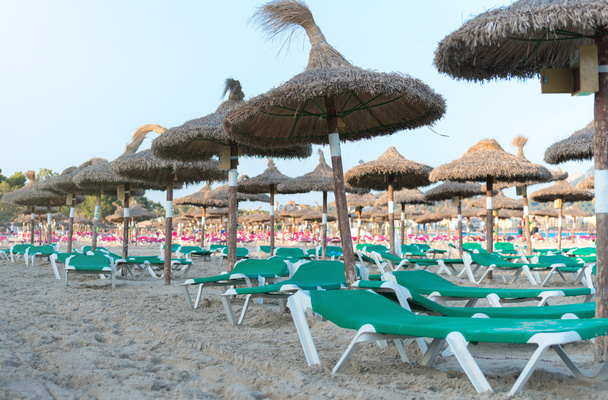 Plenty of sun loungers on the beach. - Photo, Image