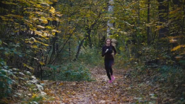 Joven atleta activa haciendo ejercicio en el parque de otoño al aire libre. Mujeres sanas, cámara lenta
 - Metraje, vídeo
