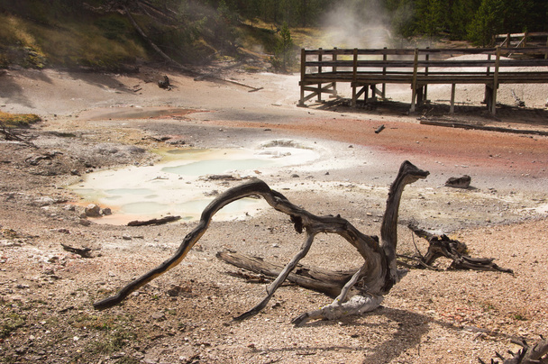 Yellowstone national park, utah, Stany Zjednoczone Ameryki - Zdjęcie, obraz