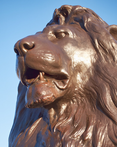 Nelson'ın aslan başı, Londra - Фото, зображення