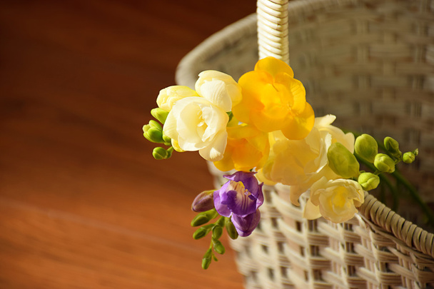 Freesia flor en una cesta
  - Foto, imagen