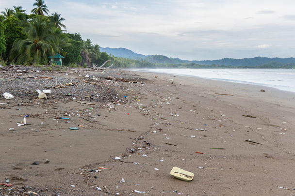 Müll am Strand  - Foto, Bild