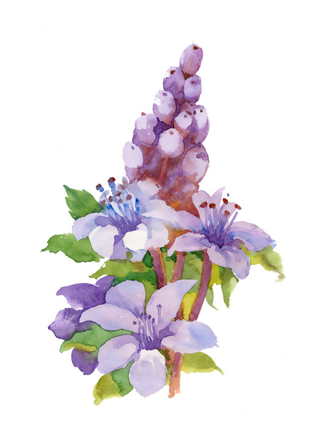 Flowers watercolor illustration - 写真・画像